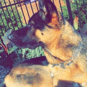 Meet your Posher, Mary